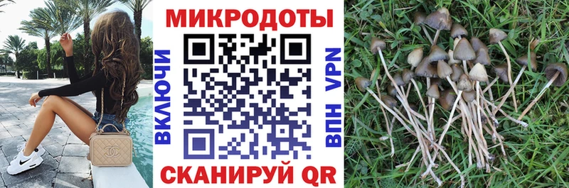 Галлюциногенные грибы мицелий  цены наркотик  Троицк 