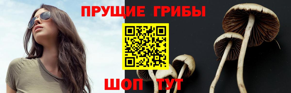 Галлюциногенные грибы мухоморы  Вход с VPN  Троицк 